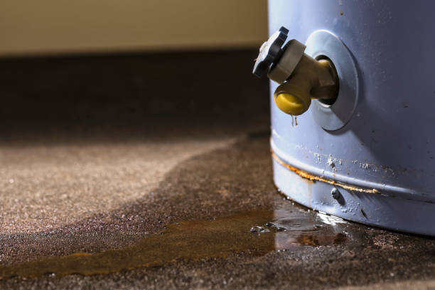 Best Flooded house restoration  in Lake Forest Park, WA