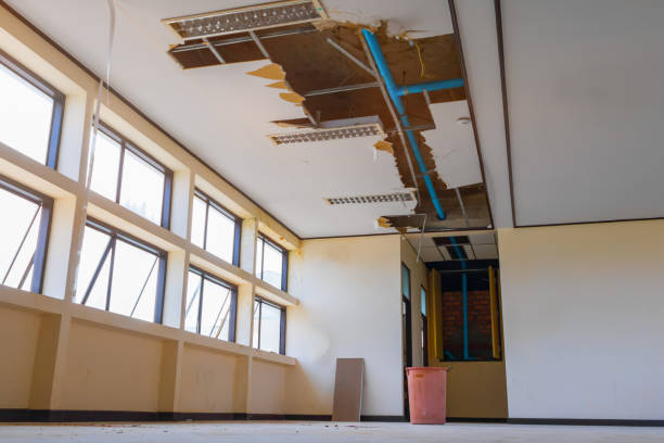 Best Commercial water damage restoration  in Lake Forest Park, WA