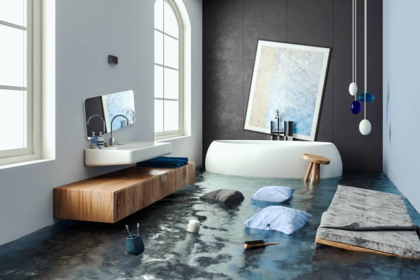 Best Water damage mitigation services  in Lake Forest Park, WA
