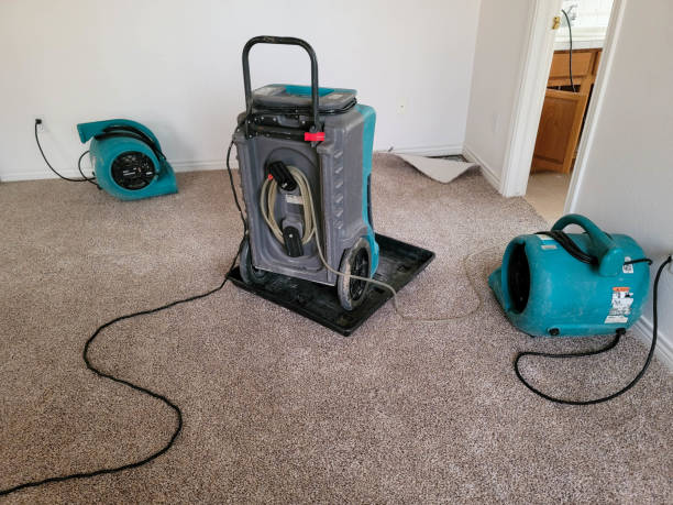 Best Water damage restoration near me  in Lake Forest Park, WA