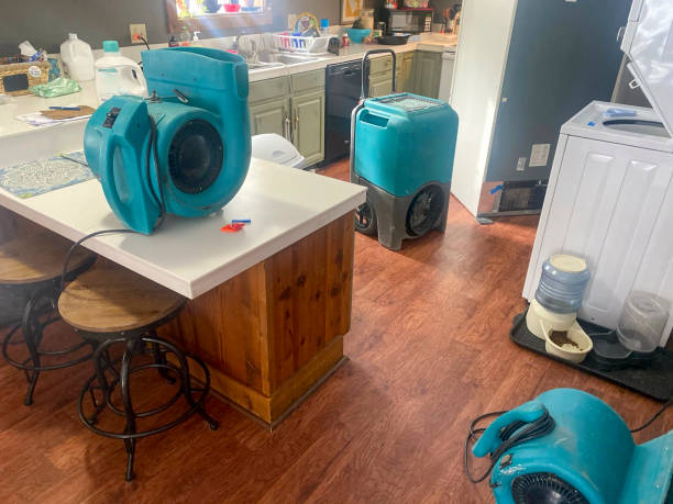 Best Carpet water damage restoration  in Lake Forest Park, WA