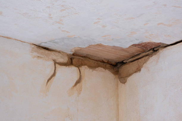 Best Flood restoration services  in Lake Forest Park, WA