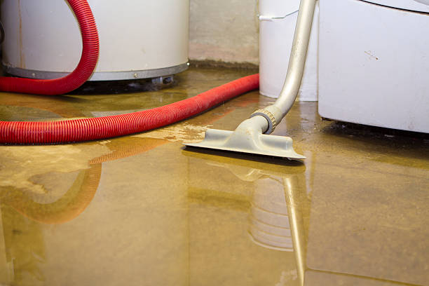 Best 24-hour water damage restoration  in Lake Forest Park, WA