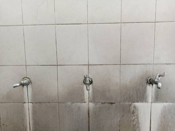 Best 24/7 water damage repair  in Lake Forest Park, WA