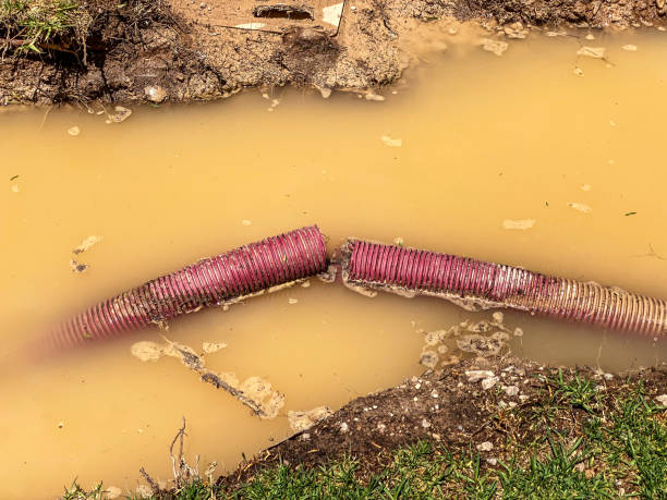 Best Emergency water damage restoration  in Lake Forest Park, WA