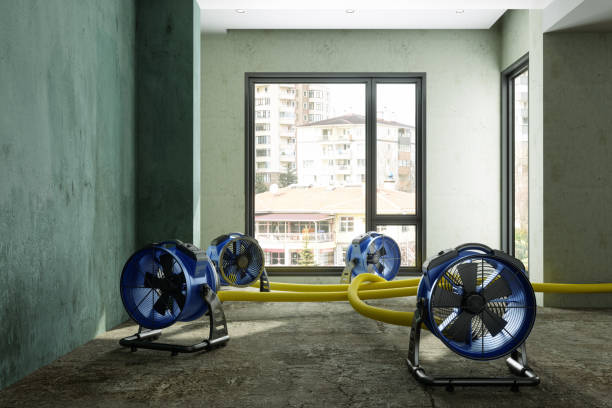 Best Local water damage restoration  in Lake Forest Park, WA